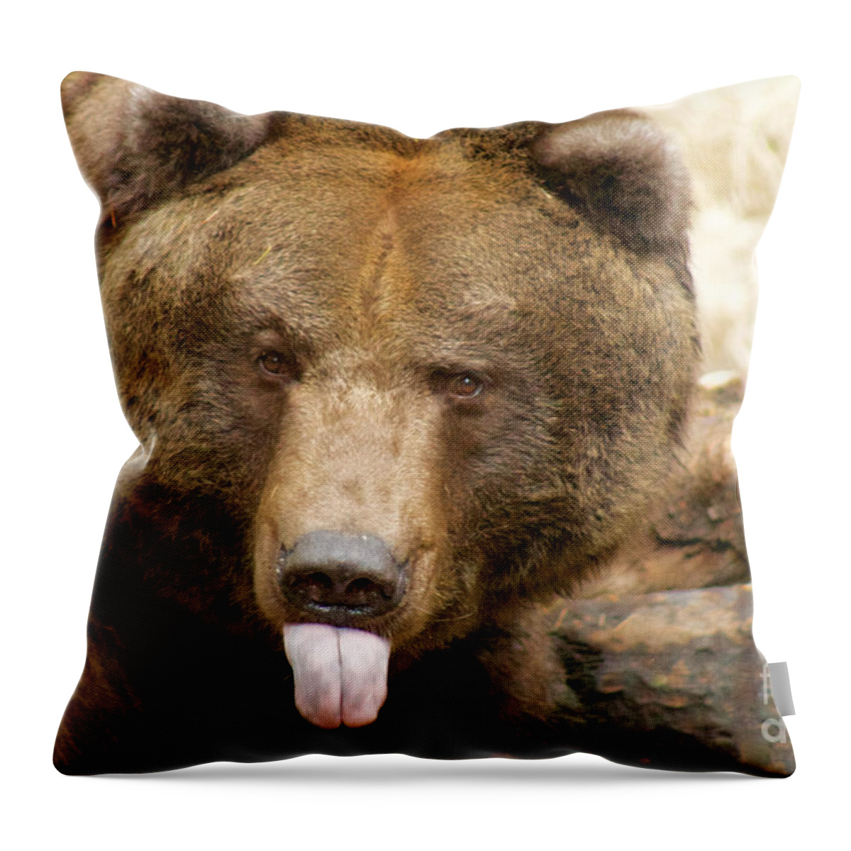 Photography Throw Pillow featuring the photograph Neener-neener by Sean Griffin
