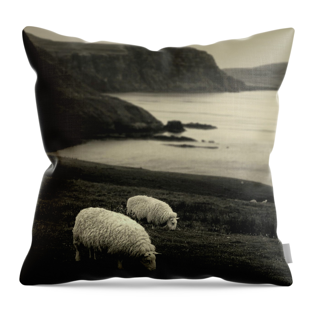 Sheep Throw Pillow featuring the photograph Neist Point by Jerry LoFaro