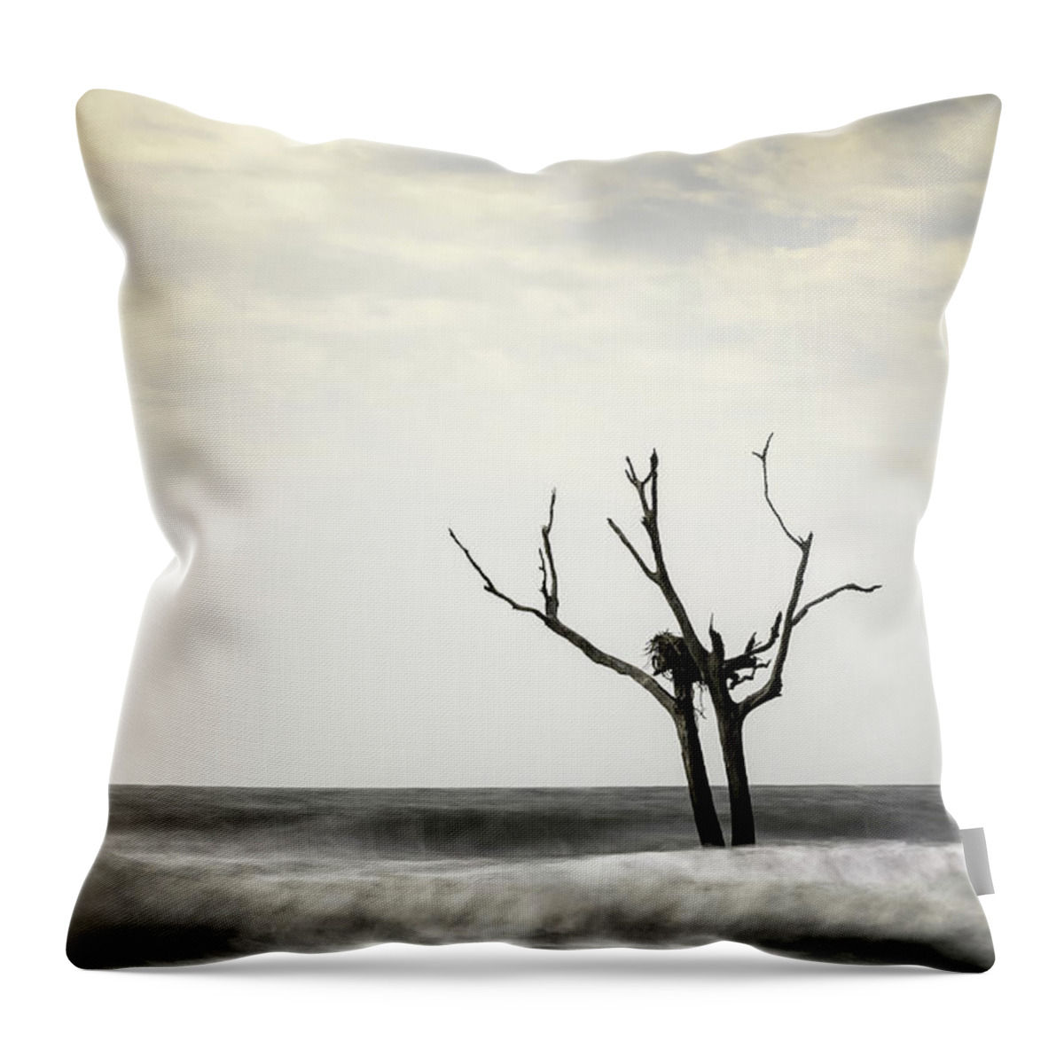 Bulls Island Throw Pillow featuring the photograph Nesting by Ivo Kerssemakers