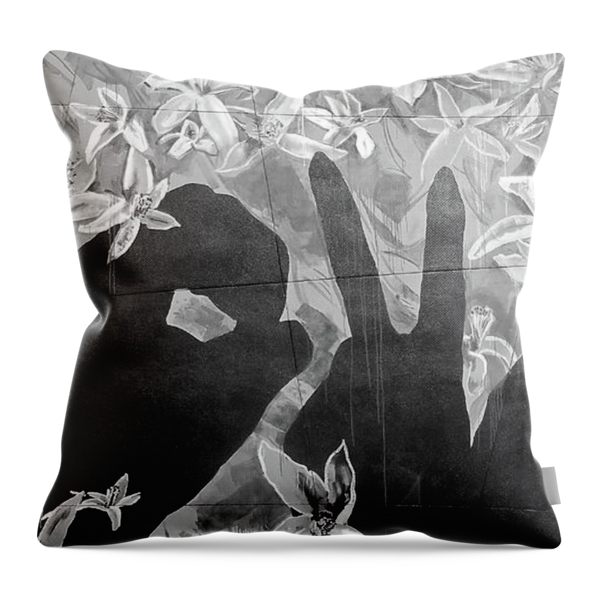 Graffiti Throw Pillow featuring the photograph Never Forget by Juergen Weiss