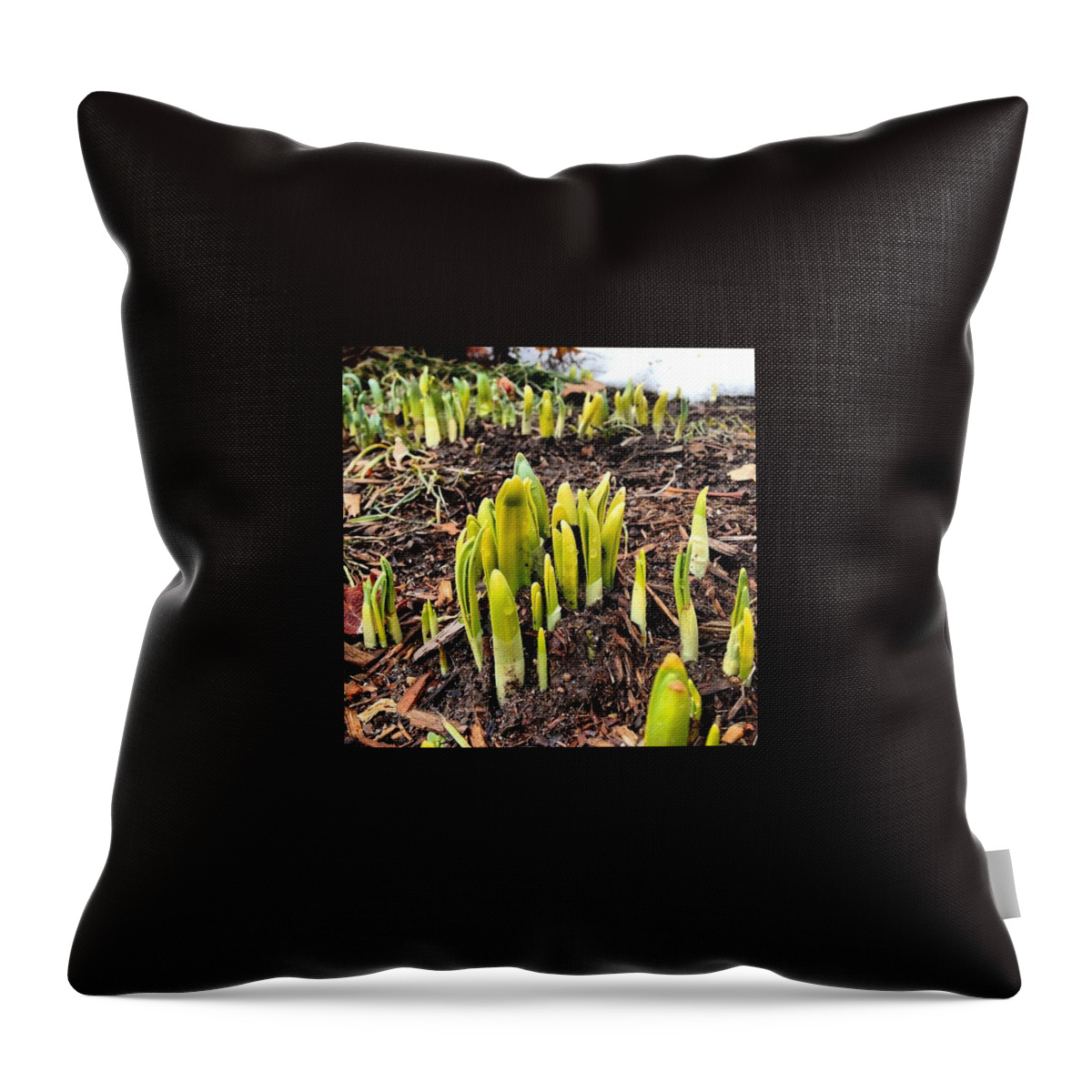 Livewell Throw Pillow featuring the photograph Never Lose Hope That Spring Will Come by John Repoza