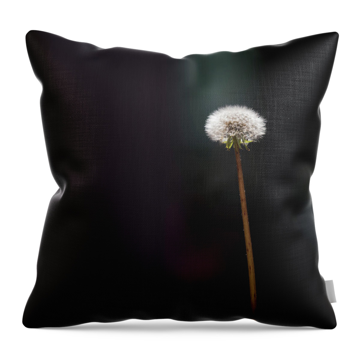 Dandelion Throw Pillow featuring the photograph Never Stop Wishing by Cynthia Wolfe