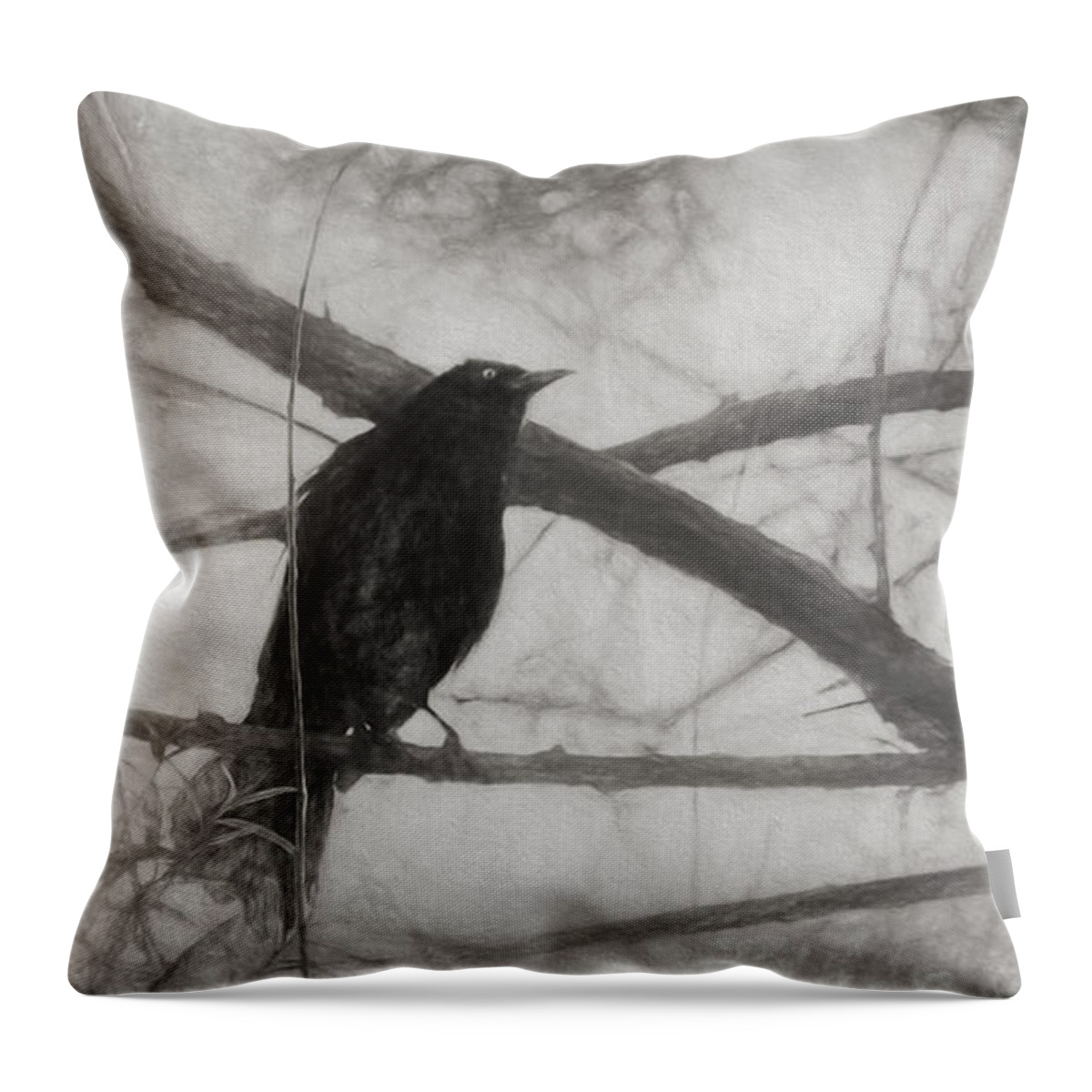 Brewer Blackbird Throw Pillow featuring the photograph Nevermore by Melinda Wolverson
