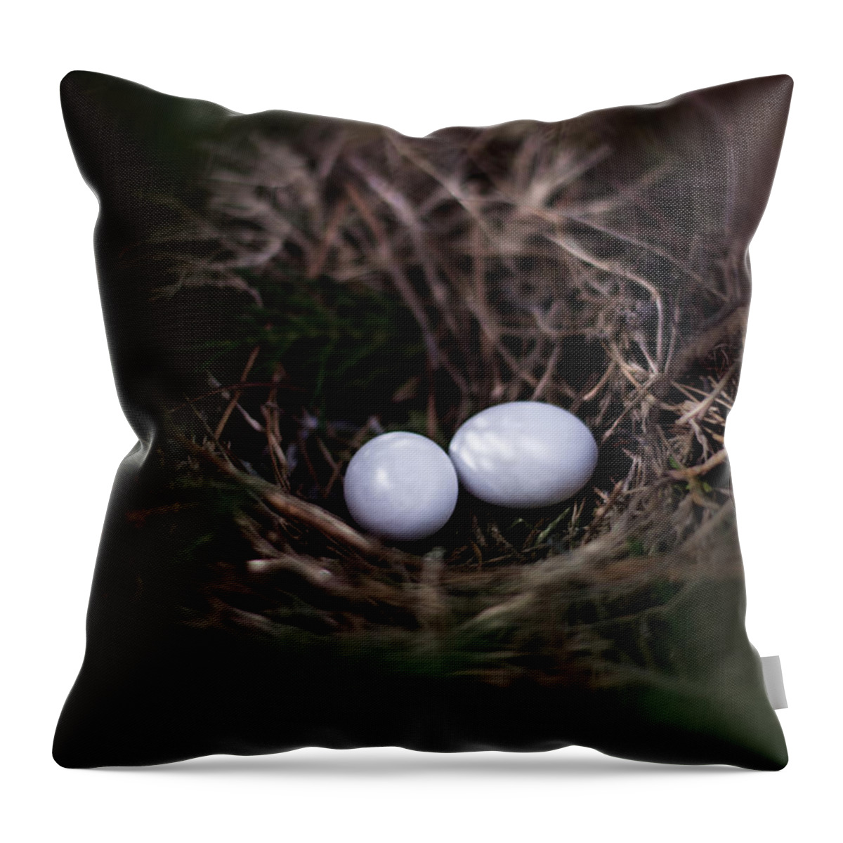 Egg Throw Pillow featuring the photograph New Birth by Parker Cunningham