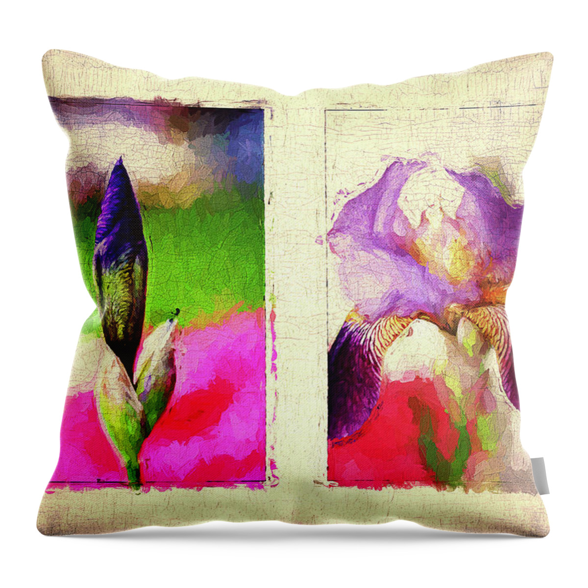 Iris Flower Throw Pillow featuring the photograph New Birth by Reynaldo Williams