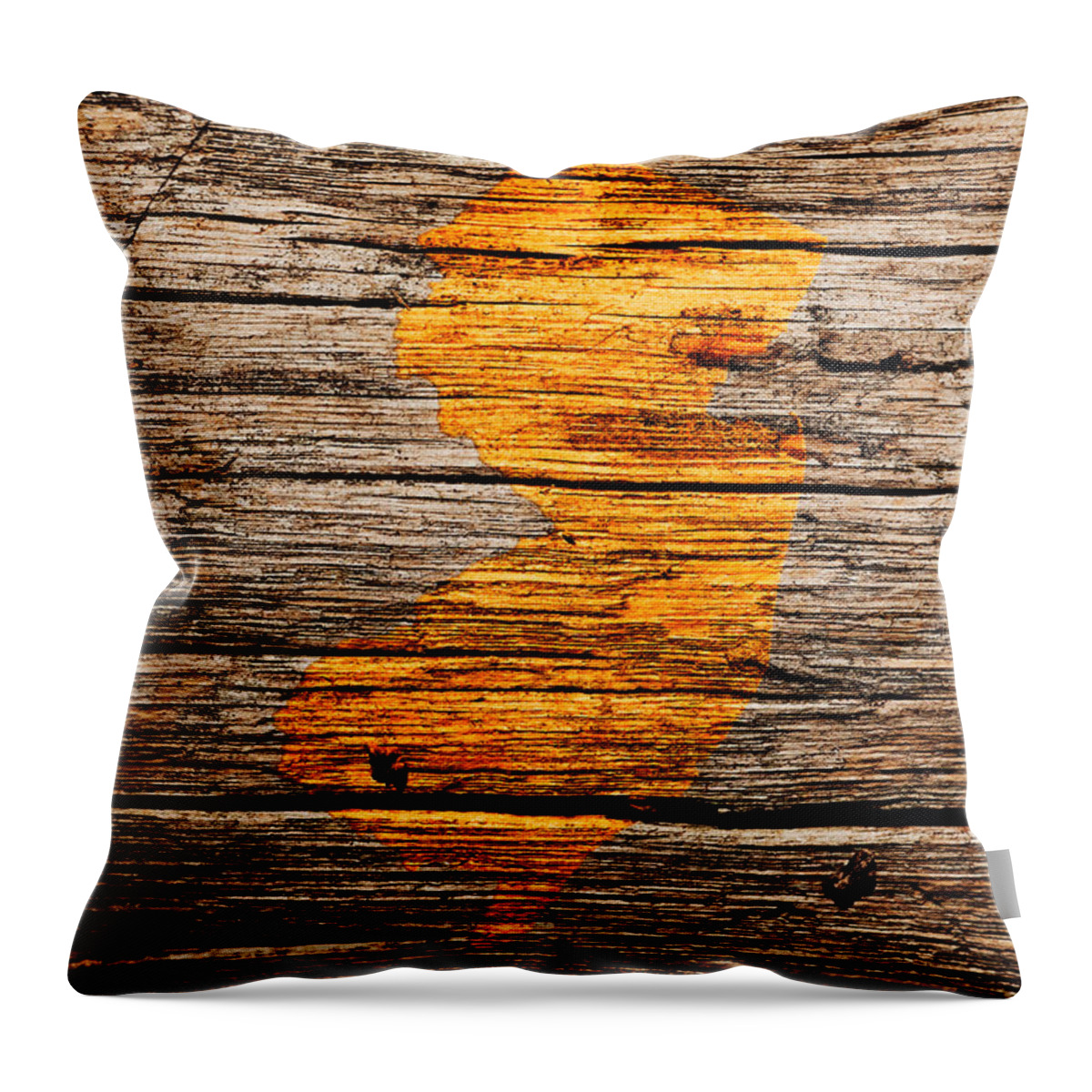 New Jersey Throw Pillow featuring the mixed media New Jersey 2w by Brian Reaves