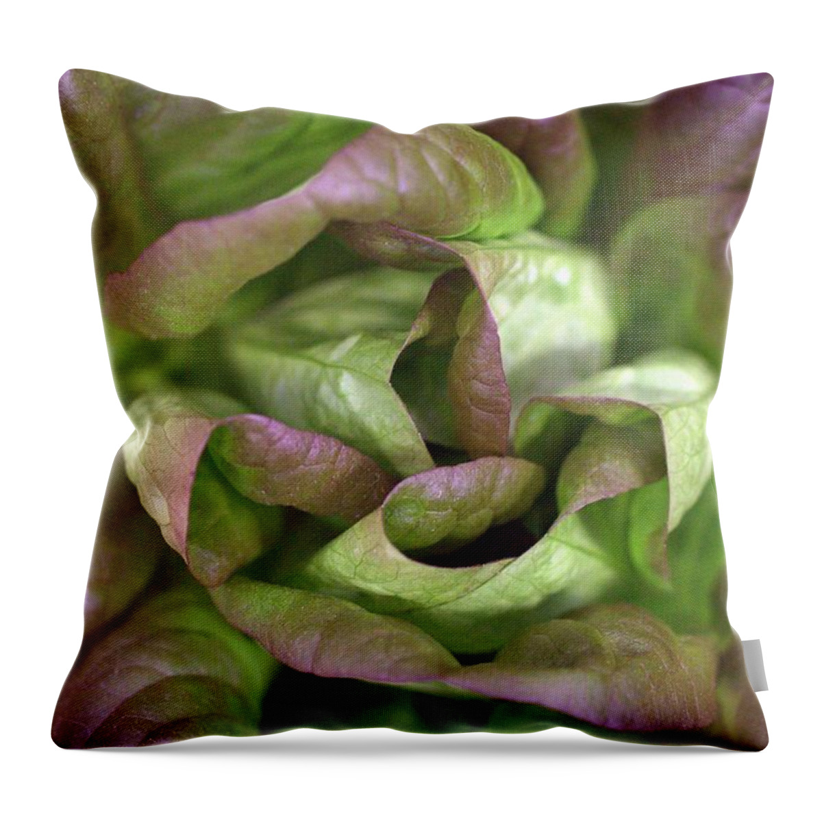 Lettuce Throw Pillow featuring the photograph New Lettuce by Joseph Skompski