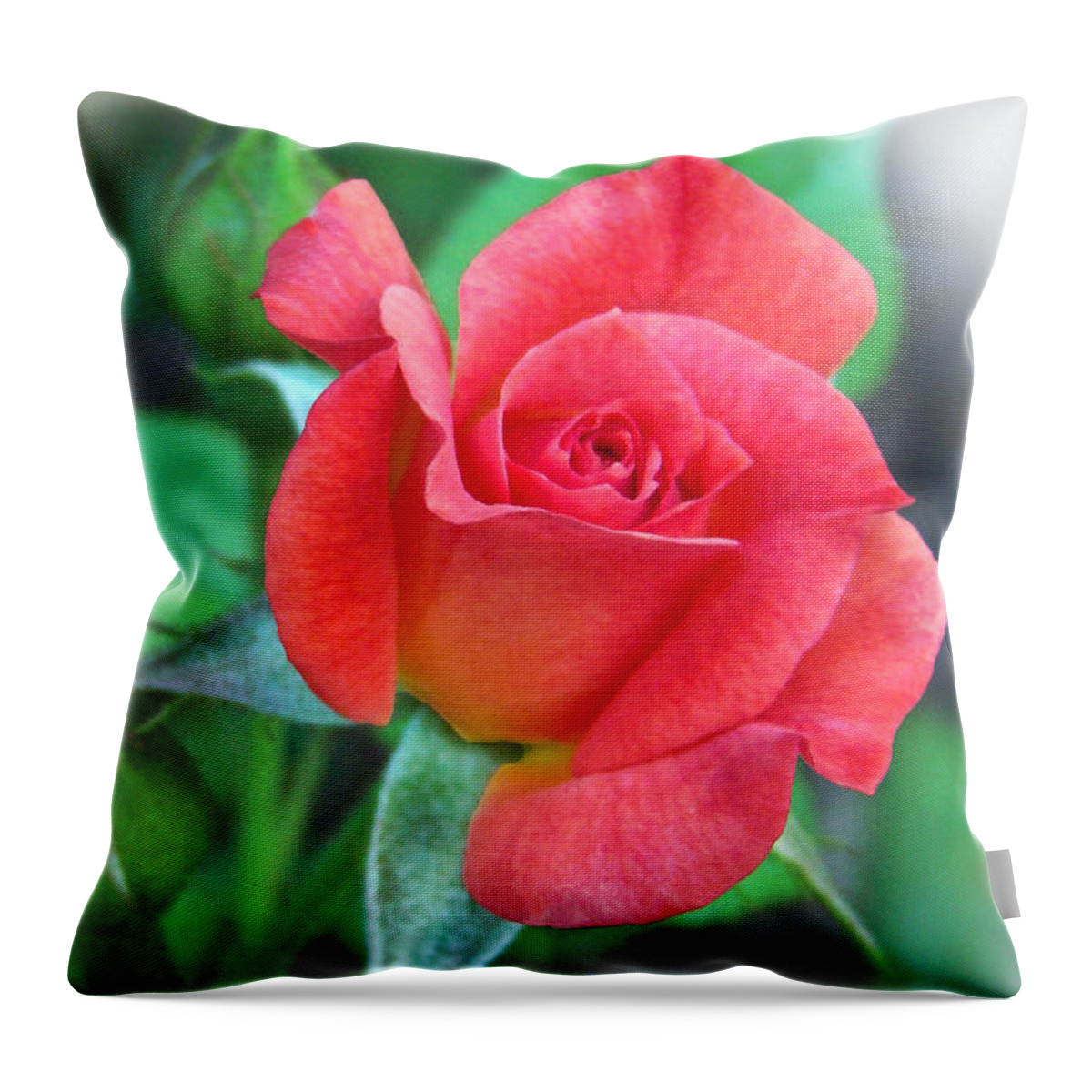 Rose Throw Pillow featuring the photograph New Life in a Coral Rosebud by Sue Melvin