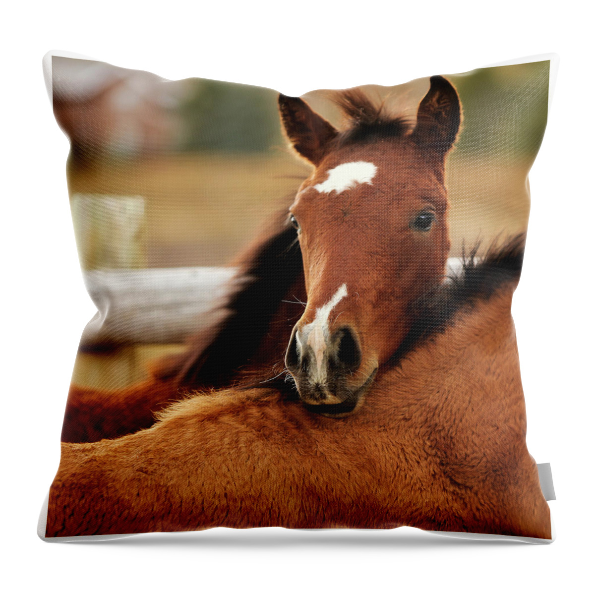Foal Throw Pillow featuring the photograph New Life by Sharon Jones