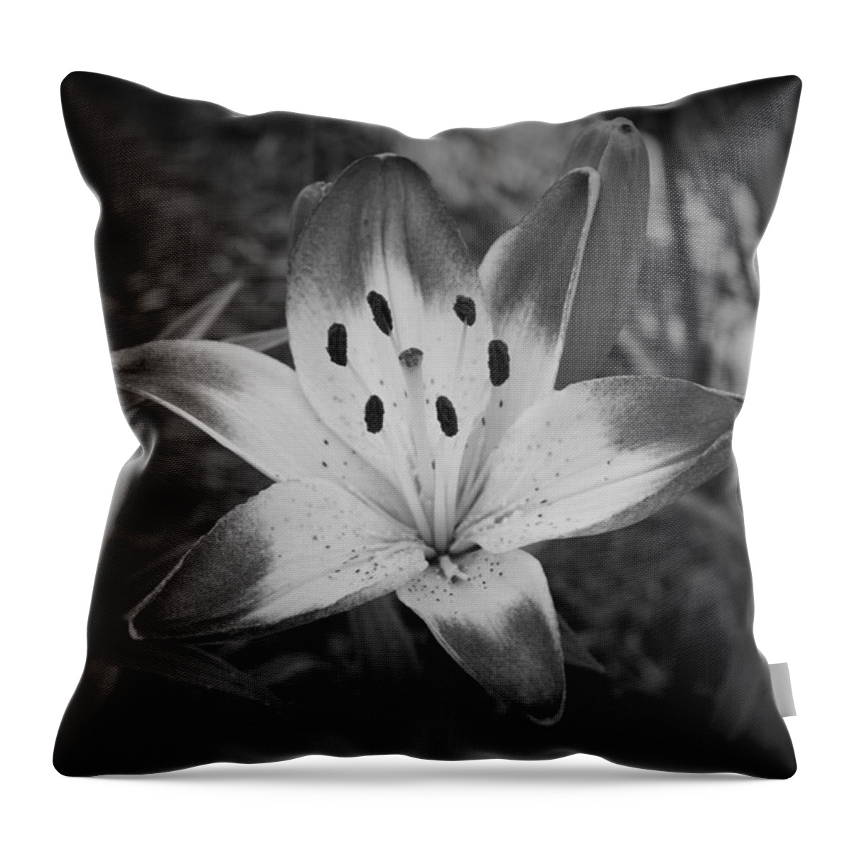Lilly; Flower; Nature; Landscape; Throw Pillow featuring the photograph New Lilly by Tammy Burgess
