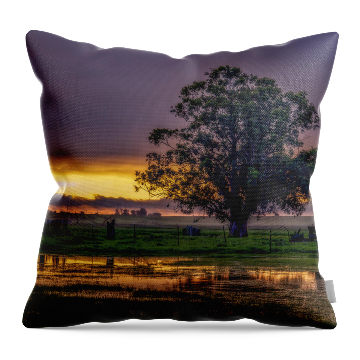 Route 12 Throw Pillow featuring the photograph New Morning Sunrise by Bruce Bottomley