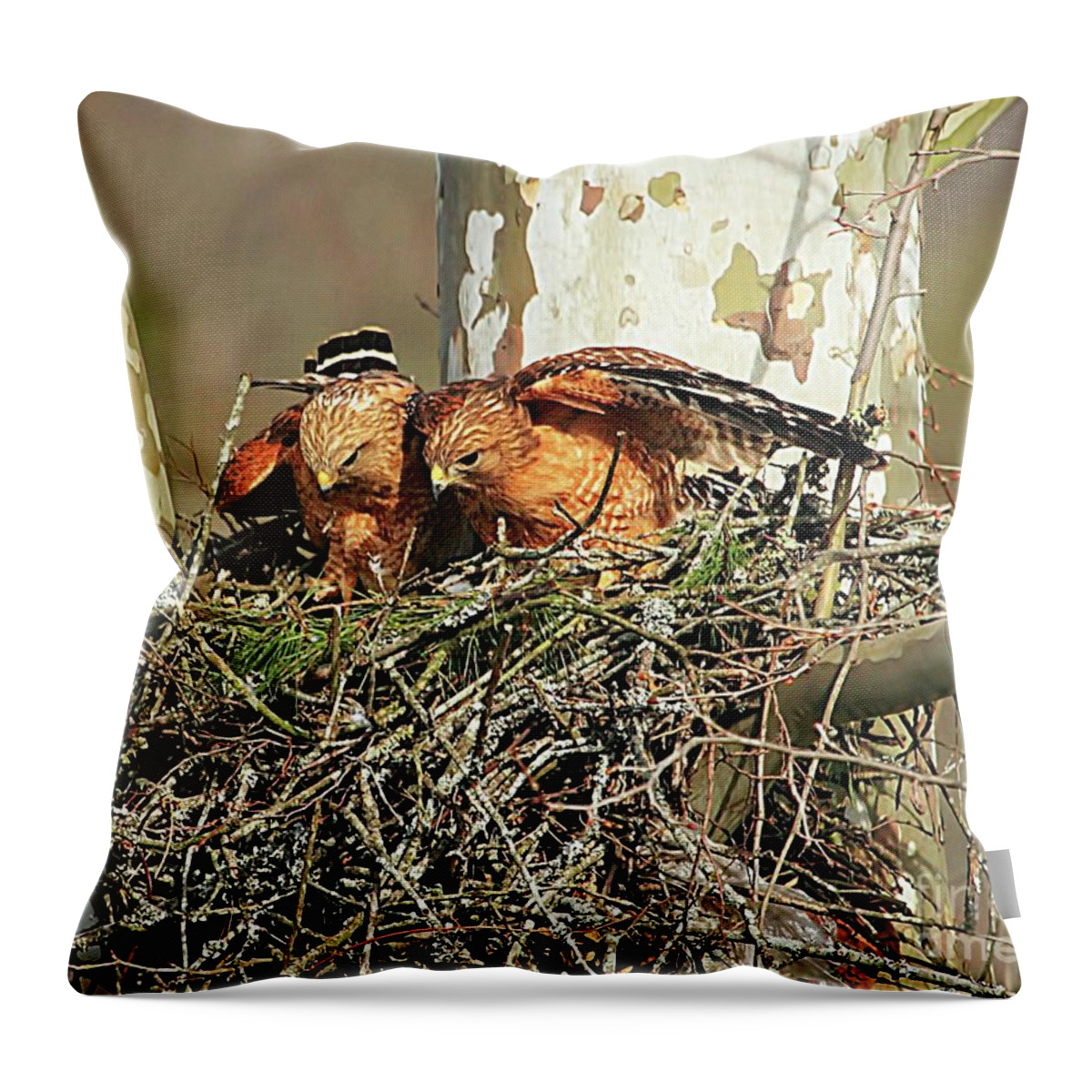 Hawks Throw Pillow featuring the photograph New Parents by Geraldine DeBoer