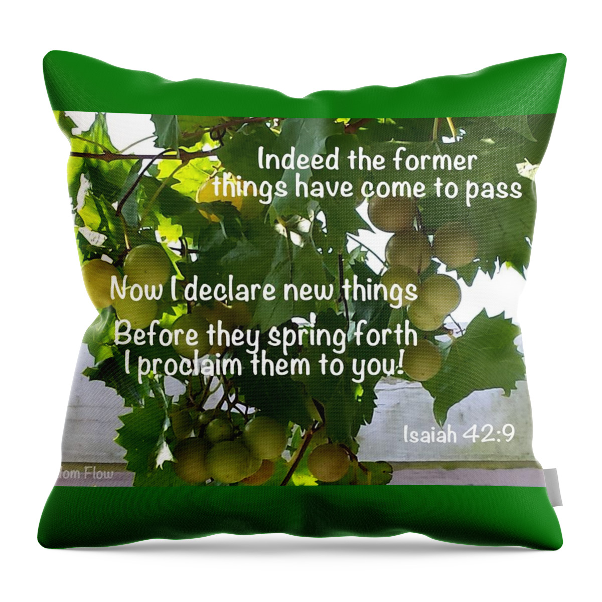 Scripture Throw Pillow featuring the photograph New Things Scripture by JerryAnn Berry