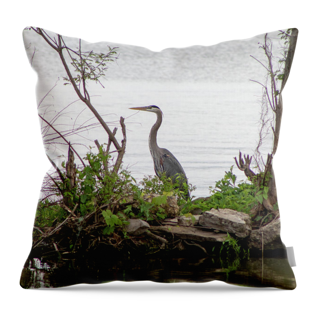  Throw Pillow featuring the photograph Blue Heron by Brian Jones