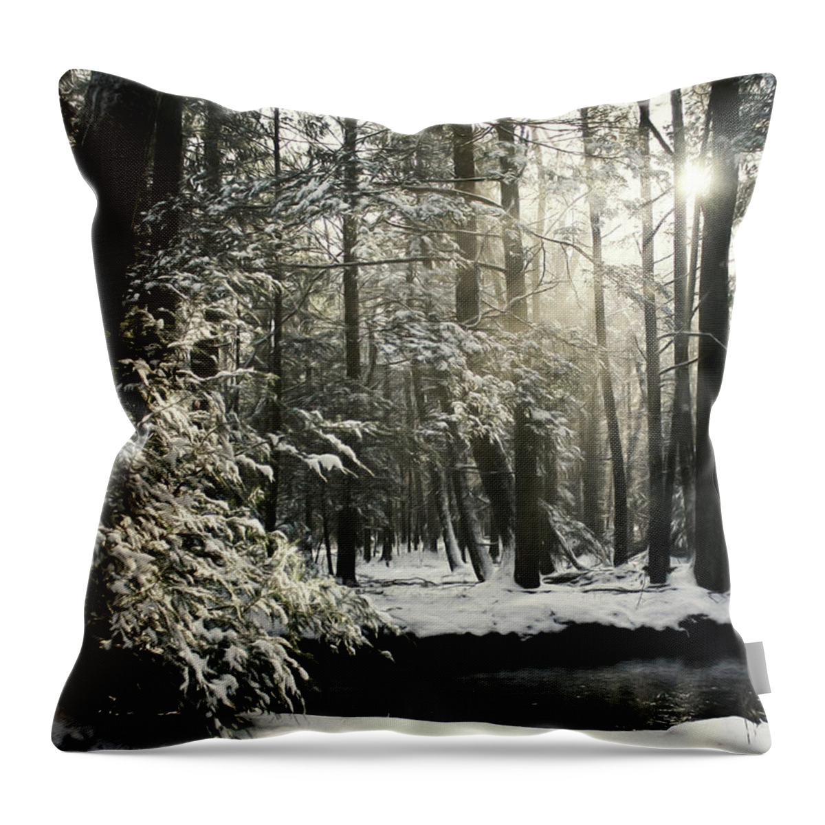 Snow Throw Pillow featuring the photograph New Years Snowfall by Lori Deiter