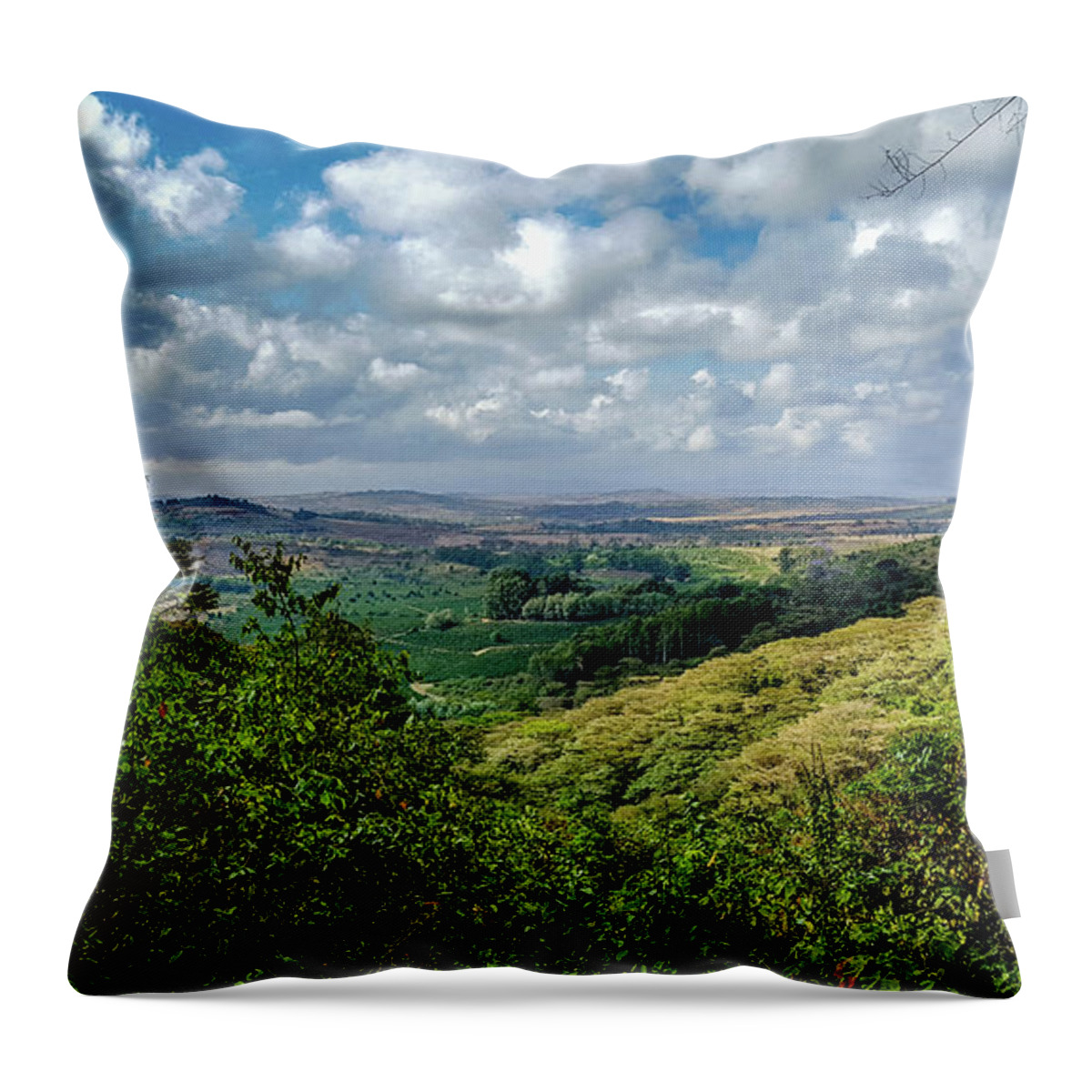 Africa Throw Pillow featuring the photograph Ngorongoro Landscape by Marilyn Burton