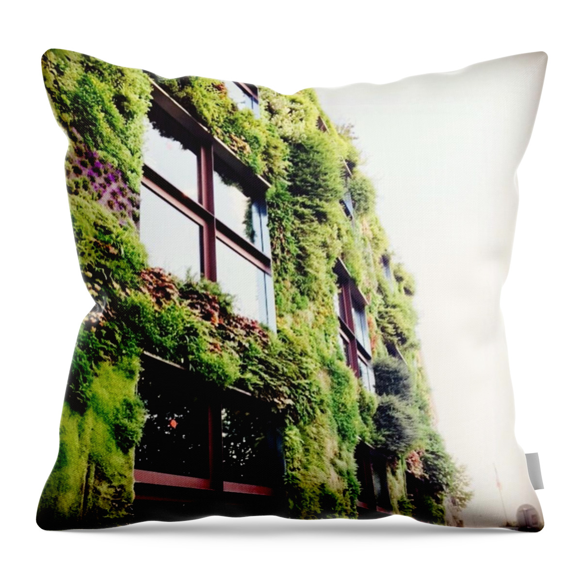 Paris Throw Pillow featuring the photograph #nice Building #paris #environment by Christian Trejo