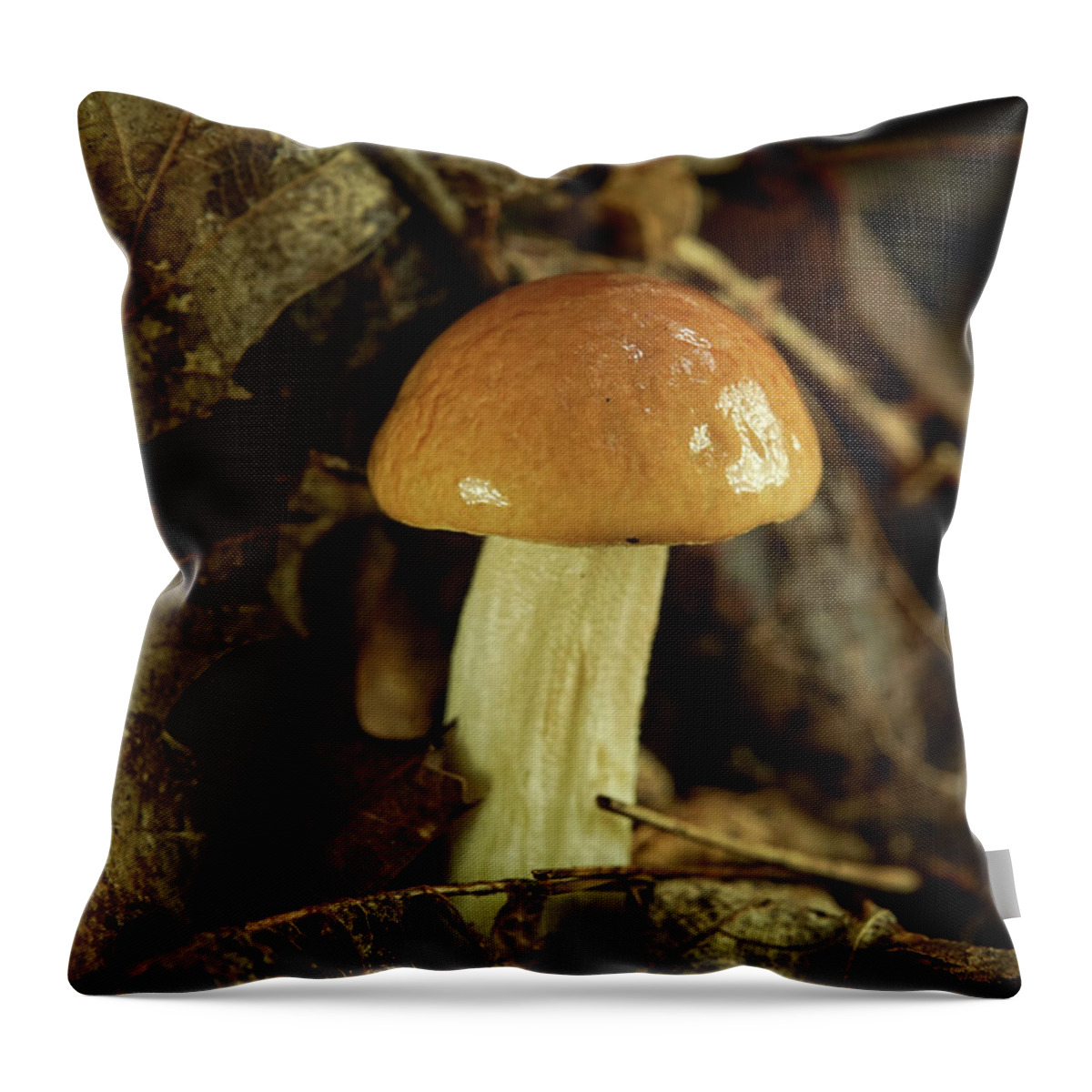 Nice Throw Pillow featuring the photograph Nice Tan Shiny Mushroom by Douglas Barnett