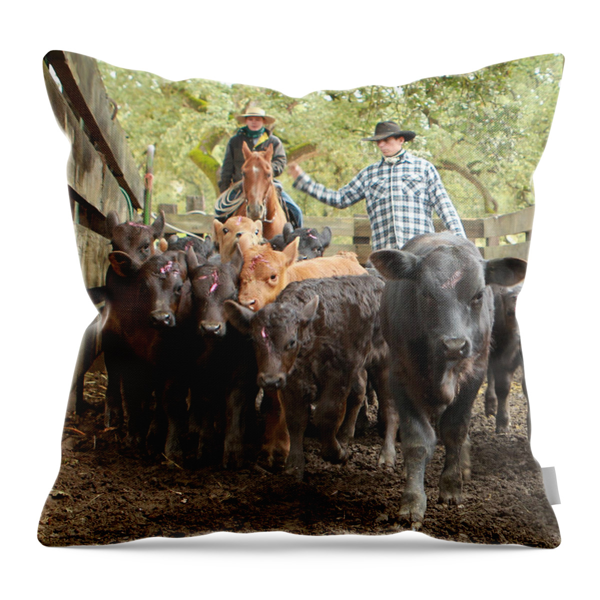 Cowboy Throw Pillow featuring the photograph Nick Pushin Calves by Diane Bohna