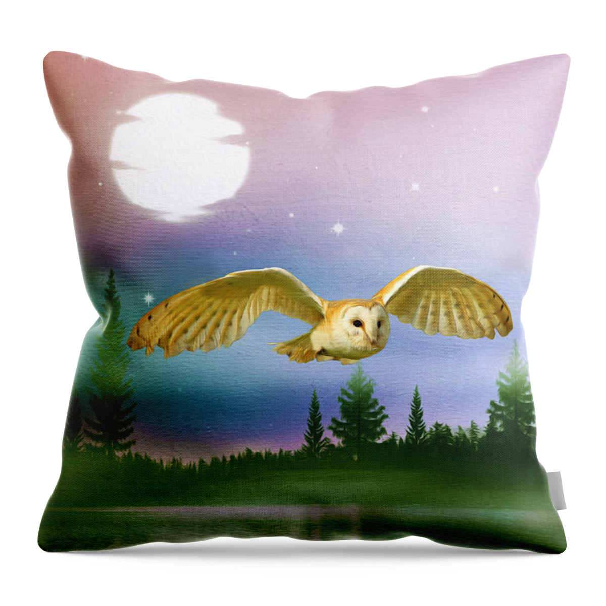 Barn Owl Throw Pillow featuring the photograph Night Flight by Laura D Young