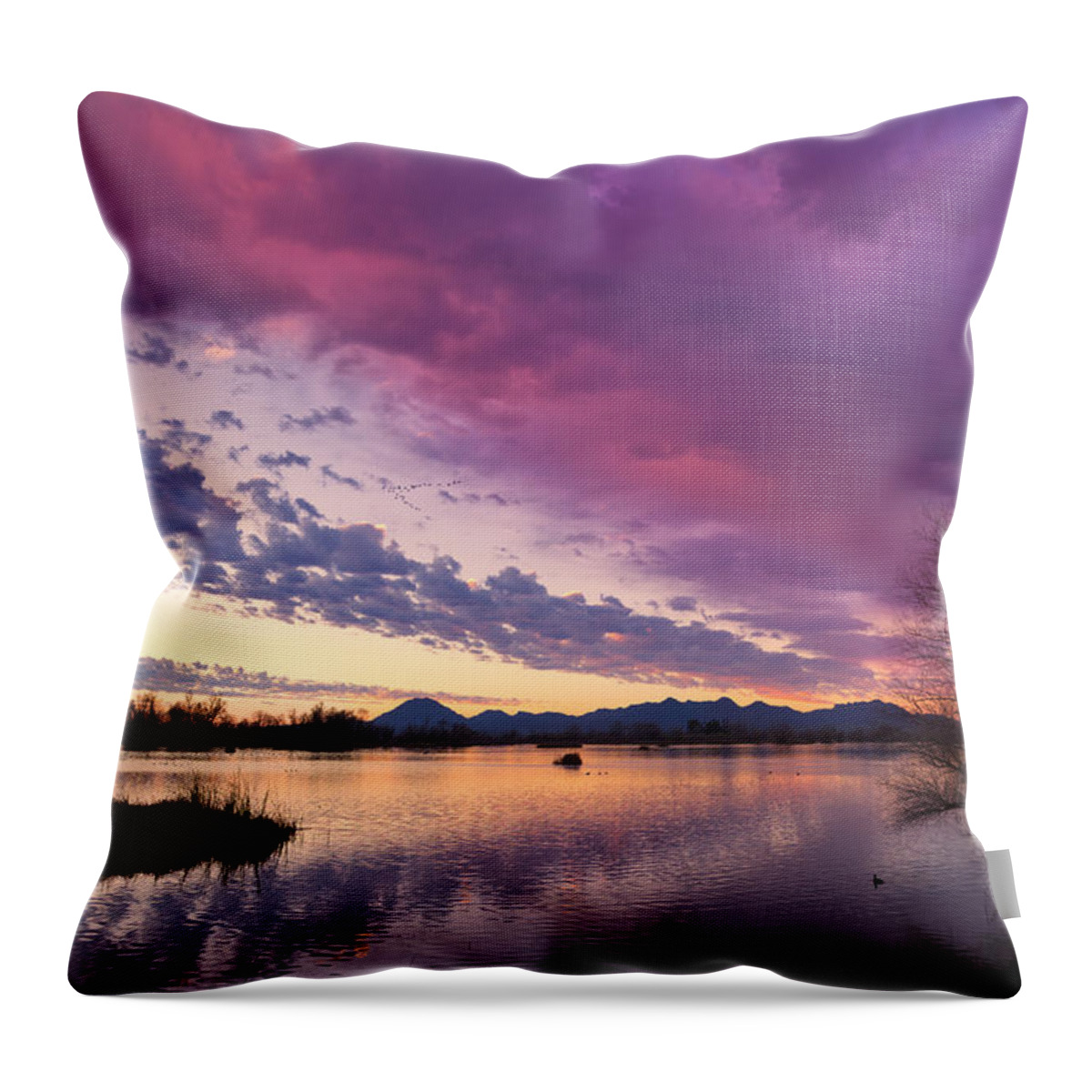 Wetland Throw Pillow featuring the photograph Night Gives Way to Dawn by Kathleen Bishop
