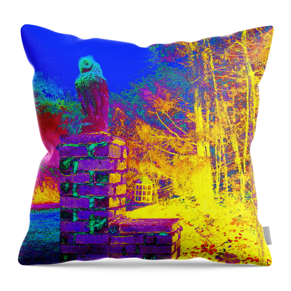 Owl Throw Pillow featuring the photograph Night Owl Watch by Larry Beat