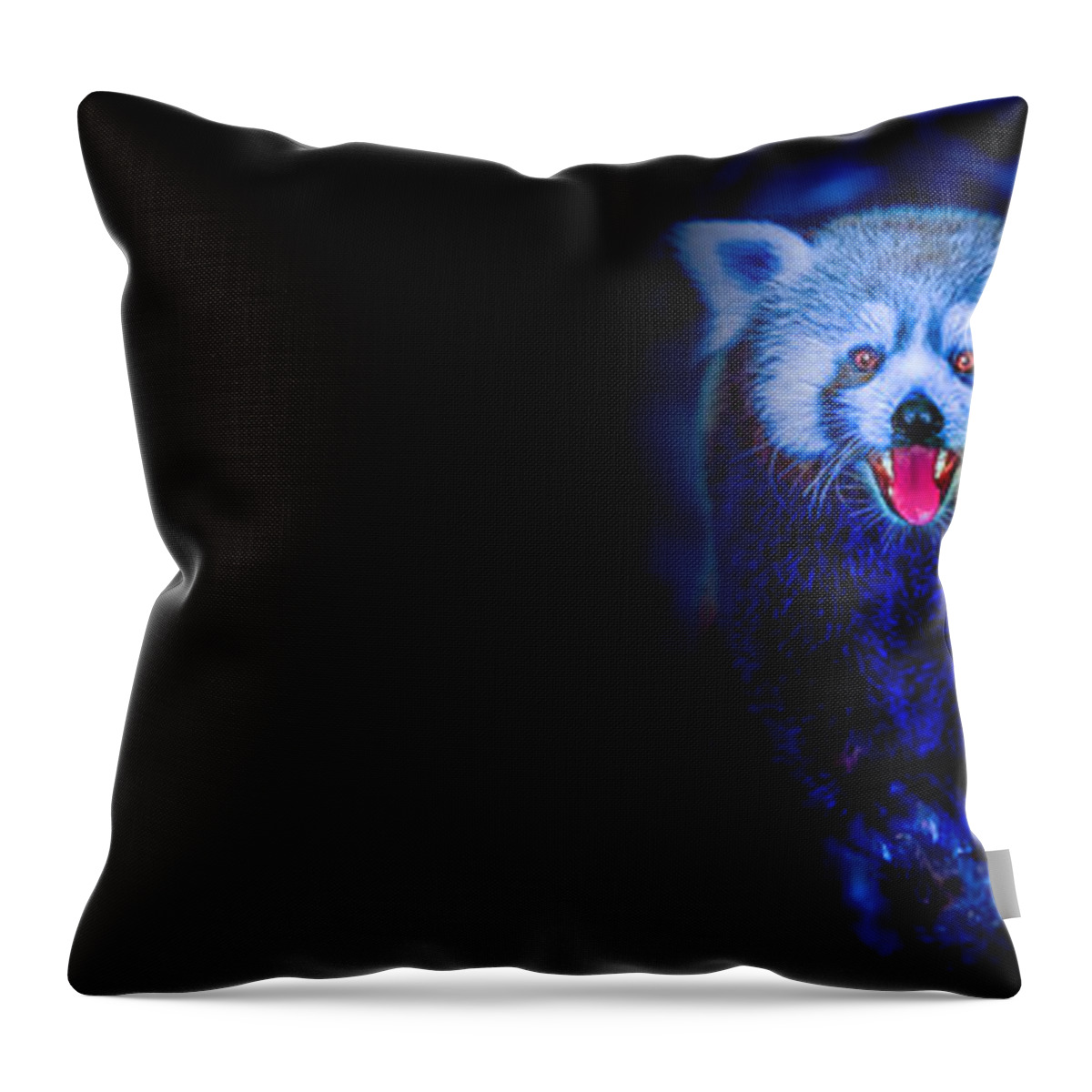 Animals Throw Pillow featuring the photograph Night Panda by Rikk Flohr