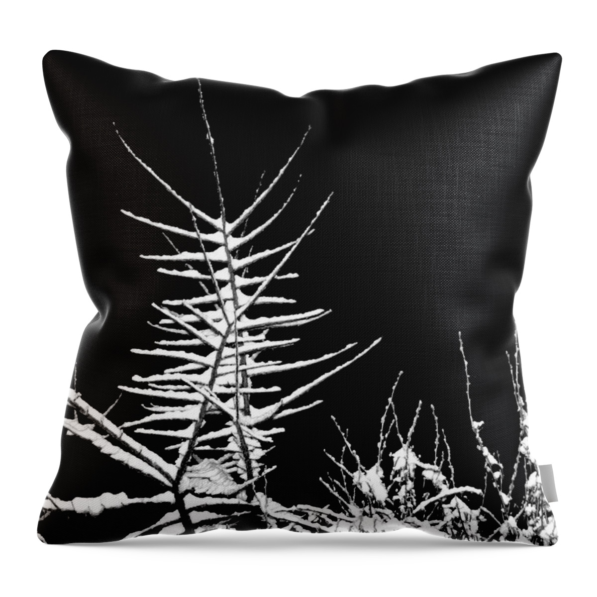 Night Throw Pillow featuring the photograph Night Shot 1 by Will Borden