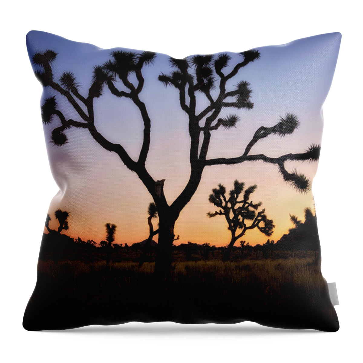 Coachella Valley Throw Pillow featuring the photograph Night Silhouette by Nicki Frates