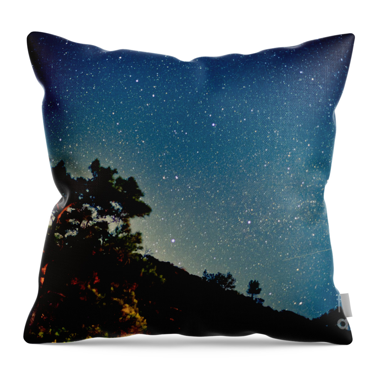 Tree Throw Pillow featuring the photograph Night sky scene with pine and stars by Raimond Klavins
