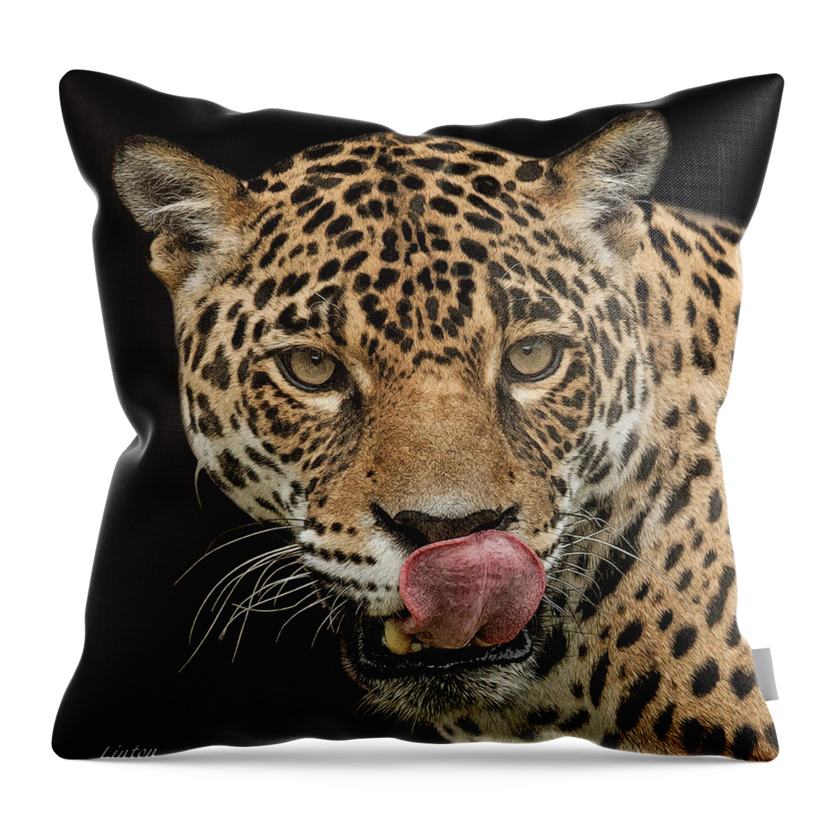Jaguar Throw Pillow featuring the digital art Night Stalker by Larry Linton