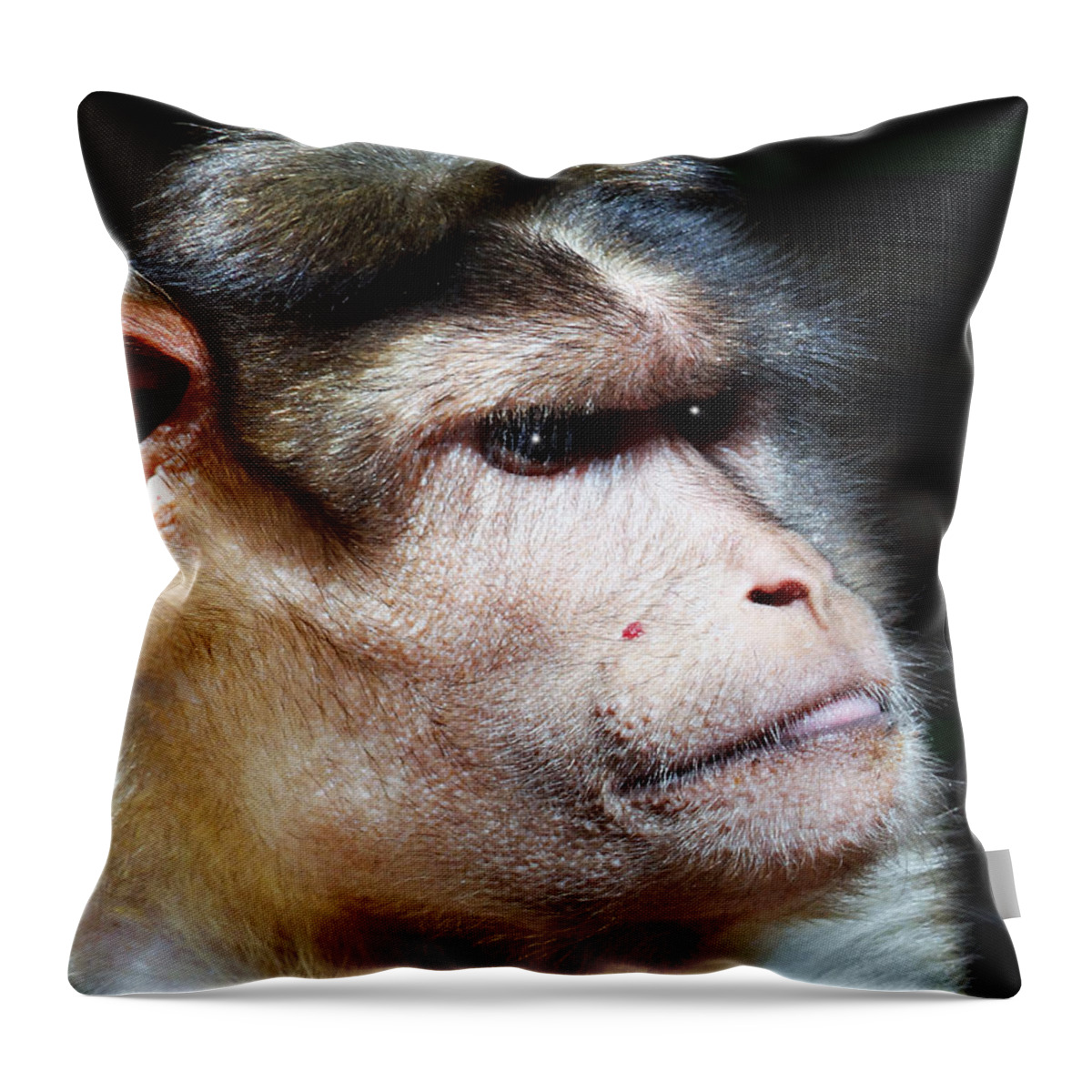 Speechless Throw Pillow featuring the photograph Night Time by Dennis Dugan