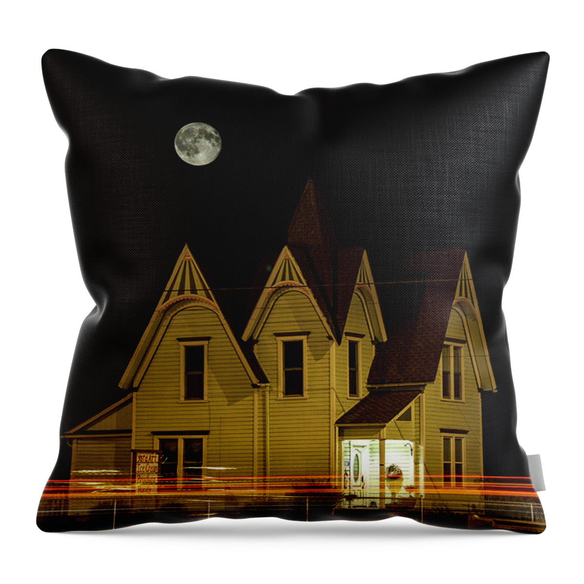 Moon Throw Pillow featuring the photograph Night View by Tony Locke
