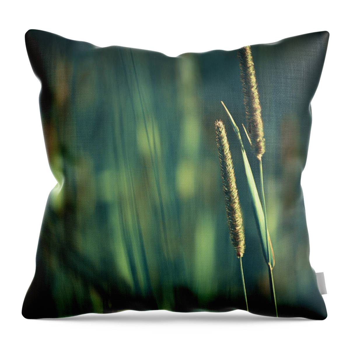 Green Photographs Throw Pillow featuring the photograph Night Whispers by Aimelle Ml