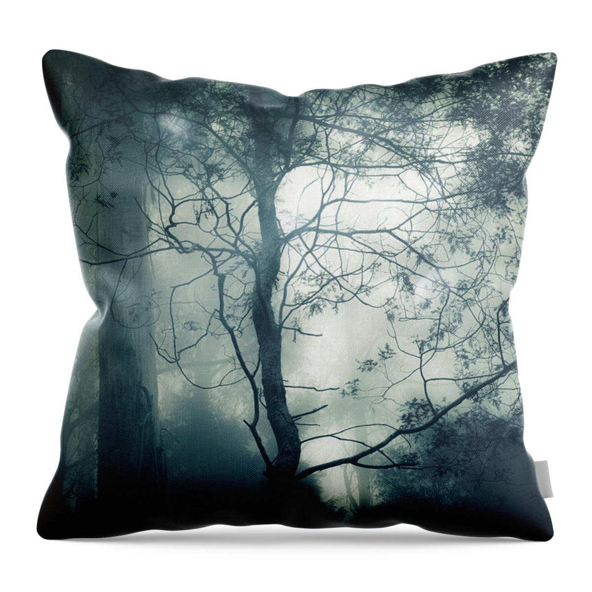 Fog Throw Pillow featuring the photograph Nightfall by Amy Weiss