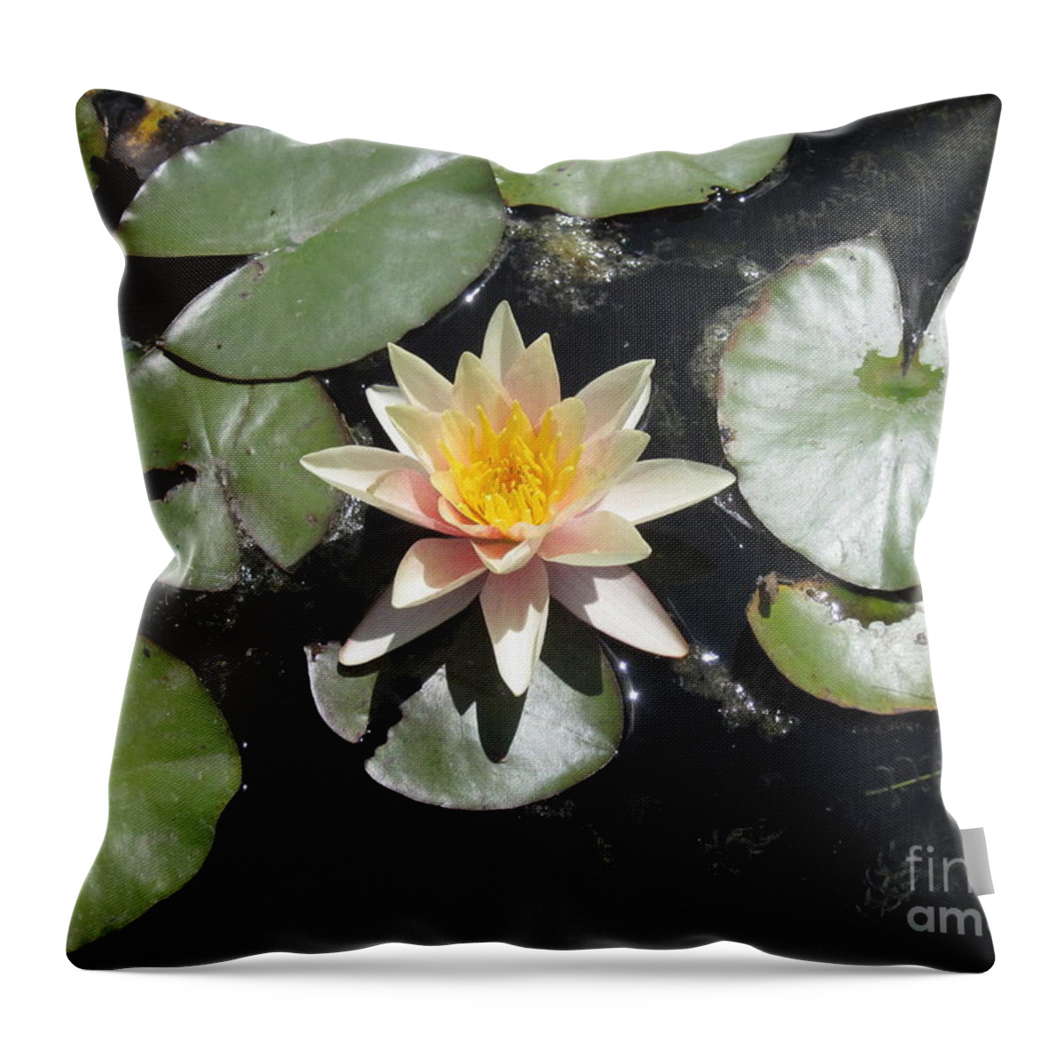 Nymphaea Throw Pillow featuring the photograph Nirvana by Brandy Woods