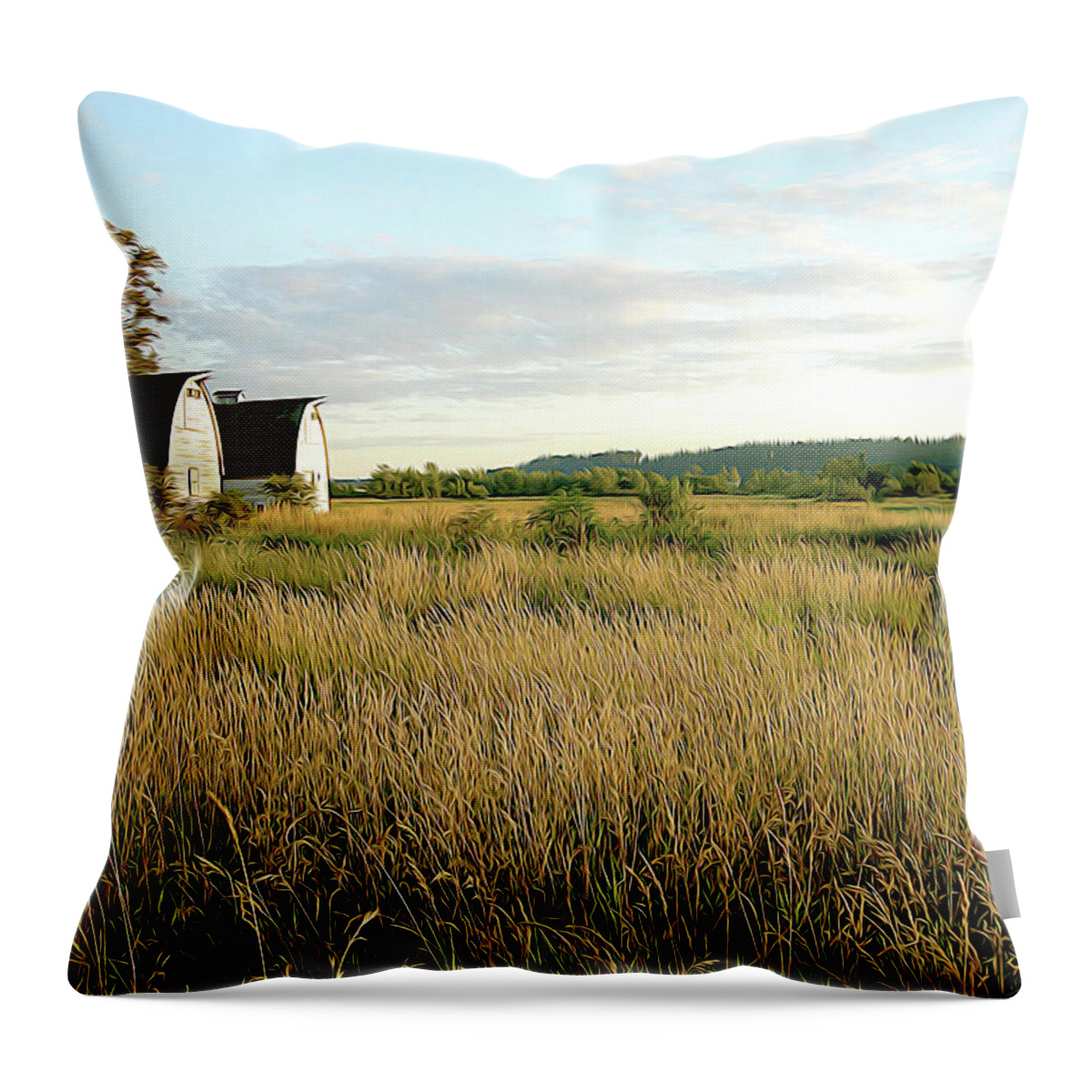 Nature Throw Pillow featuring the photograph Nisqually Two Barns by Linda Carruth