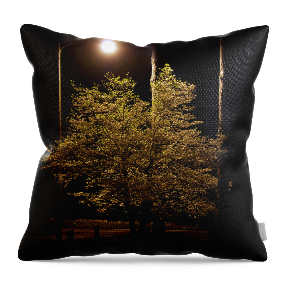 Scenic Throw Pillow featuring the photograph Nite Lite by Skip Willits