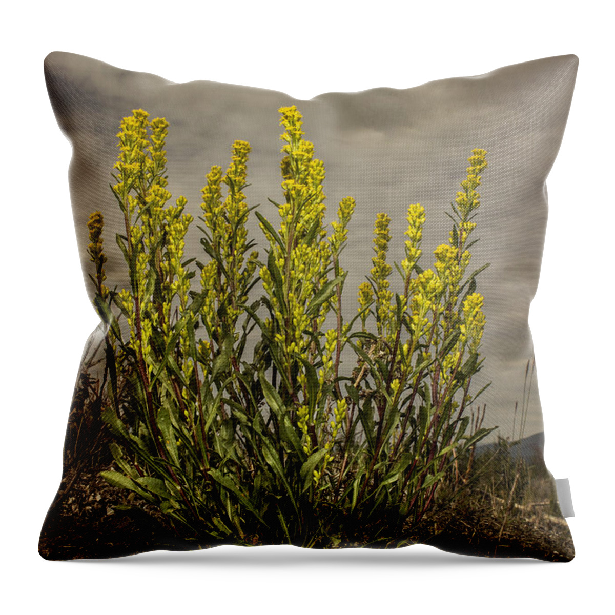 Wildflower Throw Pillow featuring the photograph Nizina River Goldenrod by Fred Denner