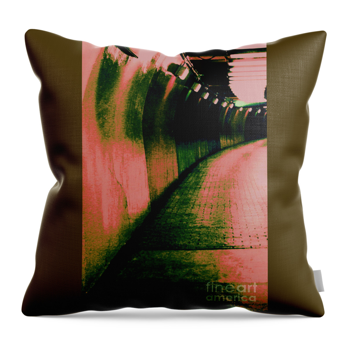Tunnel Throw Pillow featuring the photograph No Life Seen by Julie Lueders 
