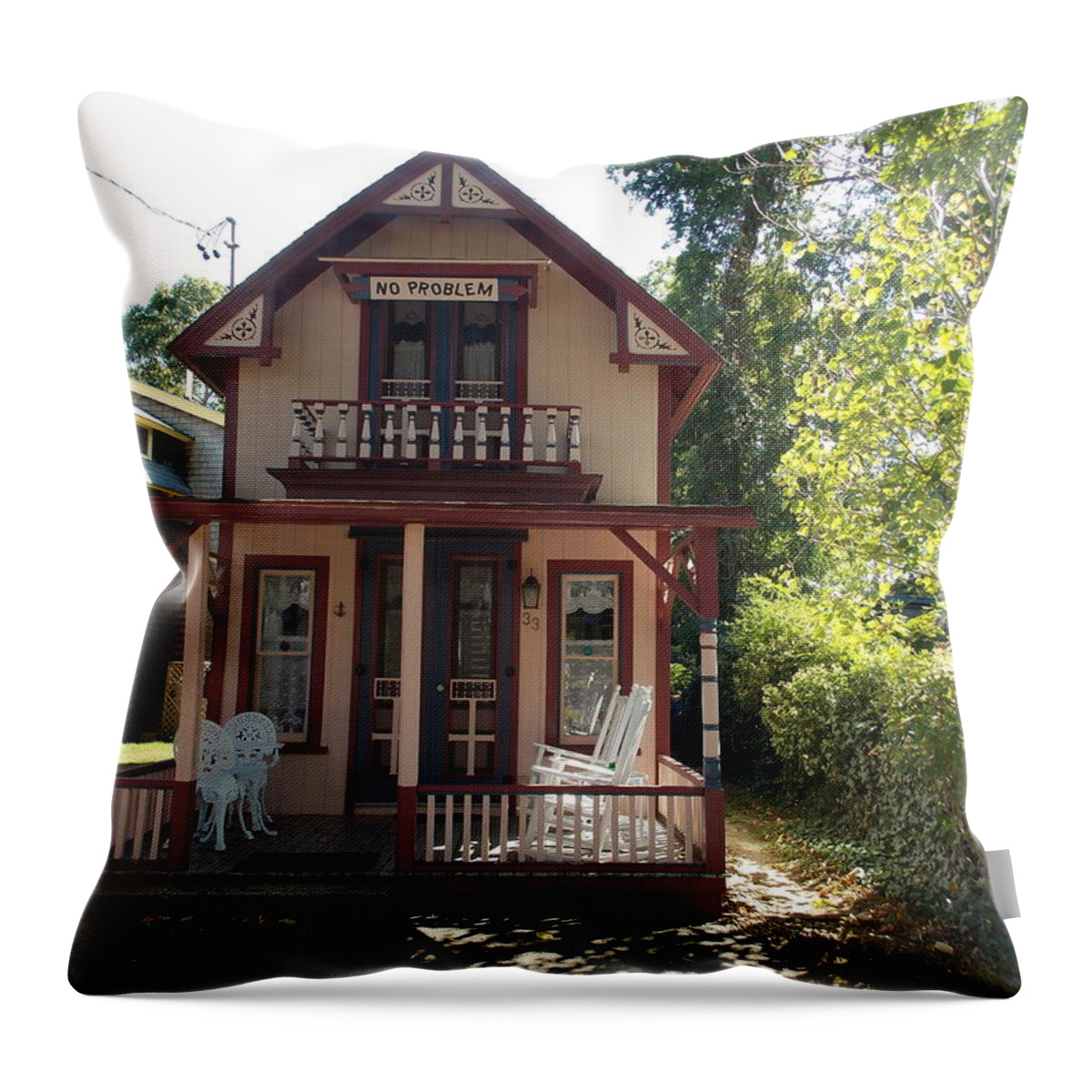 Oaks Bluff Throw Pillow featuring the photograph No problem by Catherine Gagne
