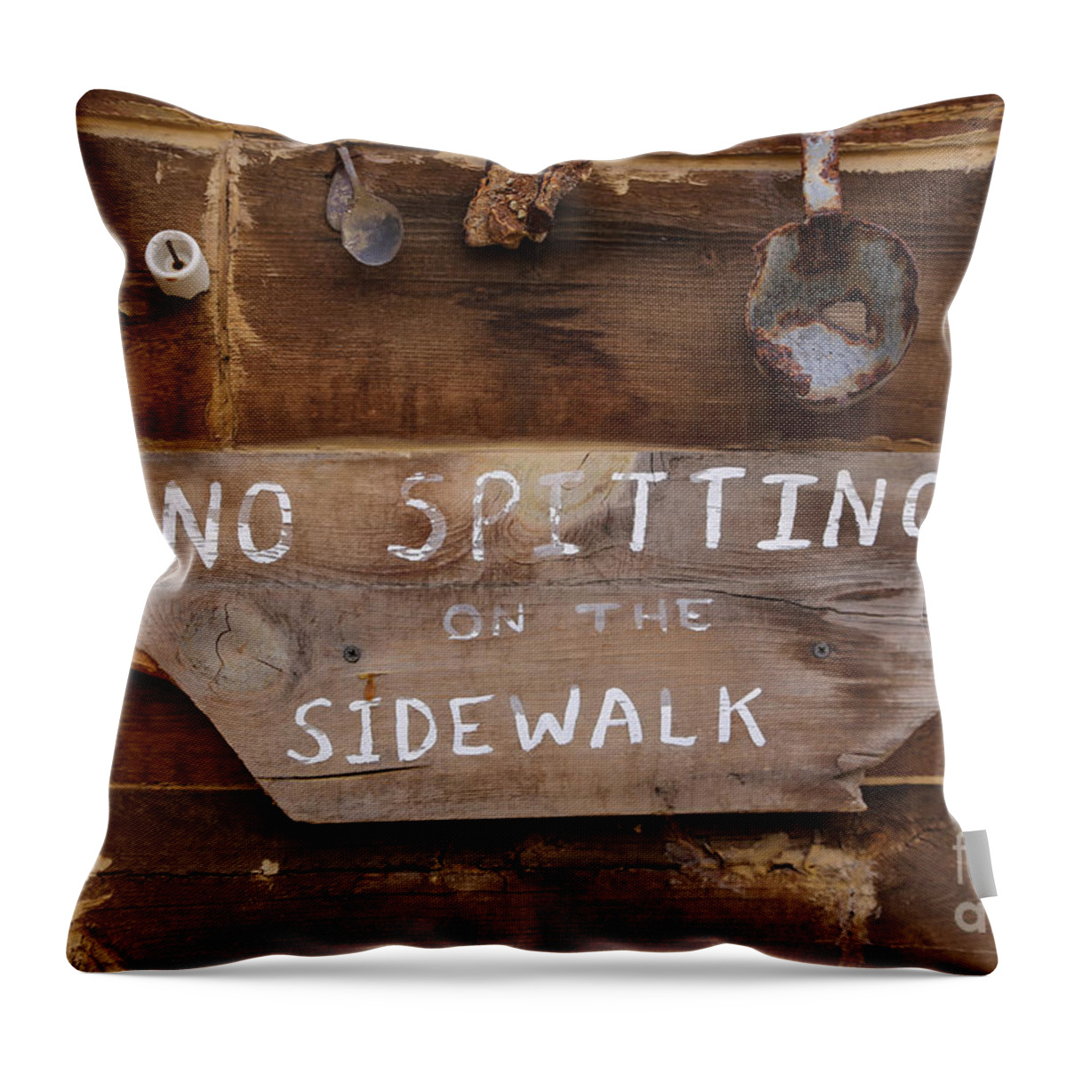 No Spitting Throw Pillow featuring the photograph No Spitting by Lynn Sprowl