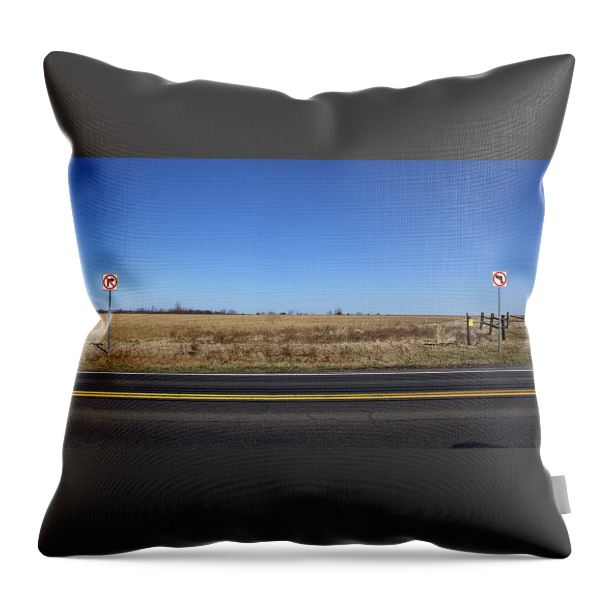 No Left Turn Throw Pillow featuring the photograph No Way by Leeon Photo
