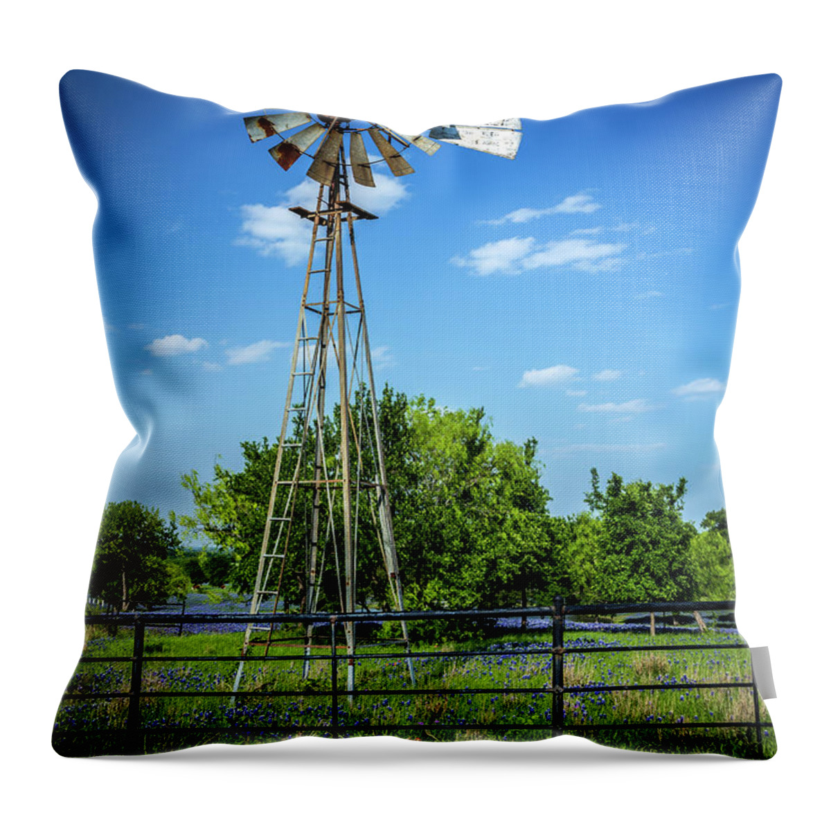 Bluebonnets Throw Pillow featuring the photograph No Wind Today by Tom Weisbrook