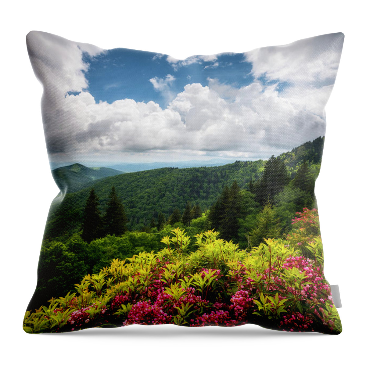 Appalachian Throw Pillow featuring the photograph North Carolina Appalachian Mountains Spring Flowers Scenic Landscape by Dave Allen