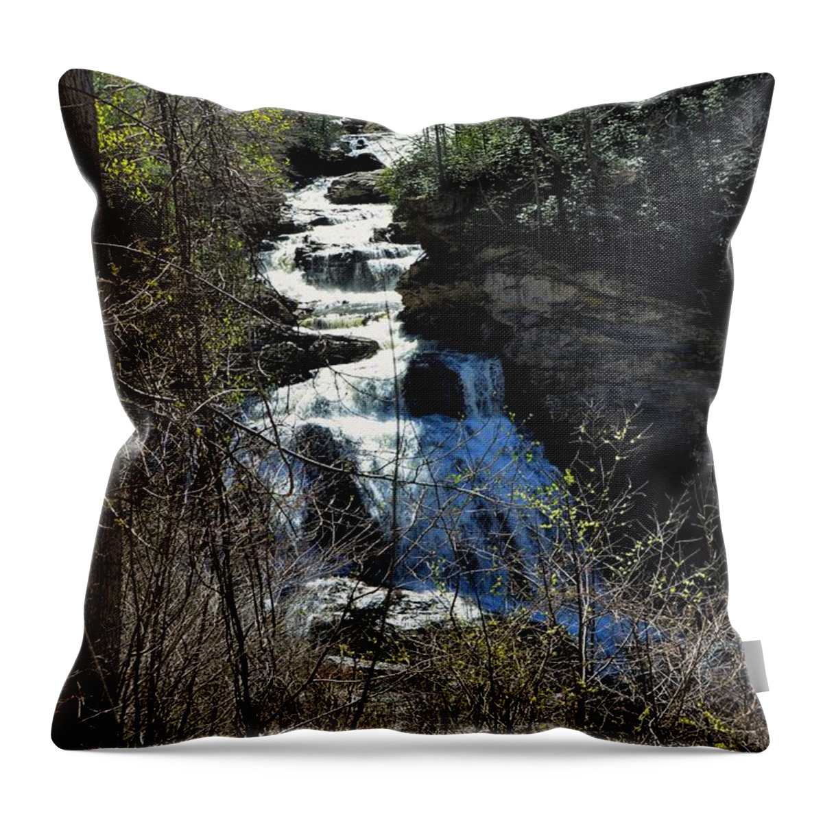 Waterfall Throw Pillow featuring the photograph North Carolina Falls by Chuck Brown