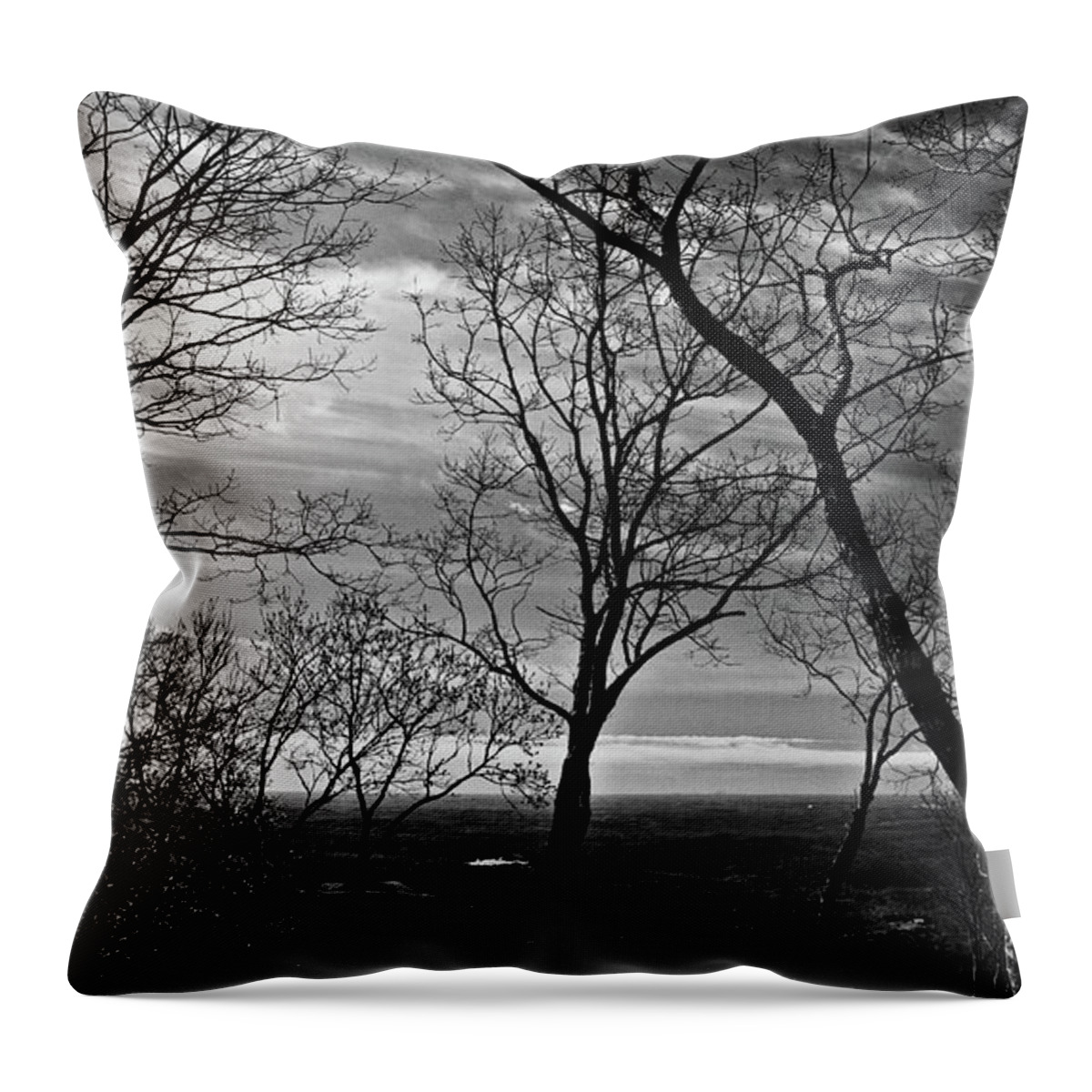 Forest Throw Pillow featuring the photograph North Georgia View by George Taylor