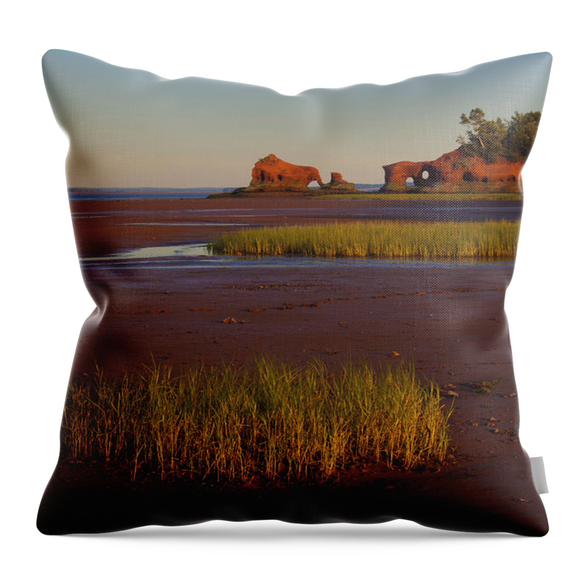 Coastline Throw Pillow featuring the photograph North Medford Coastline At Sunset by Irwin Barrett