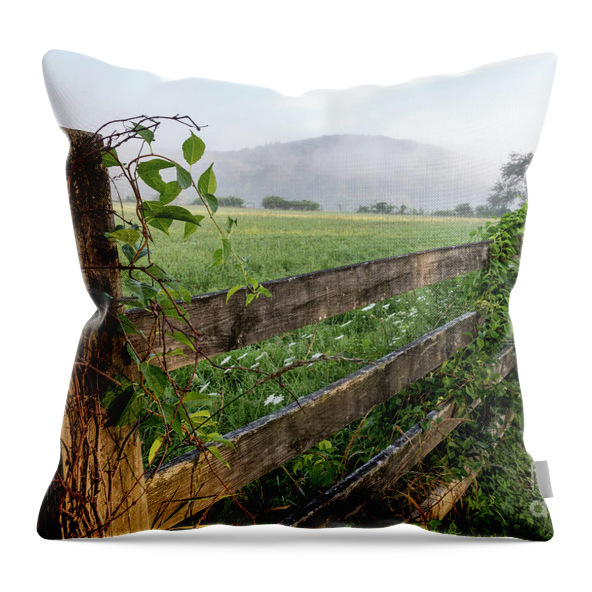 Fog Throw Pillow featuring the photograph North Road View by Jim Gillen