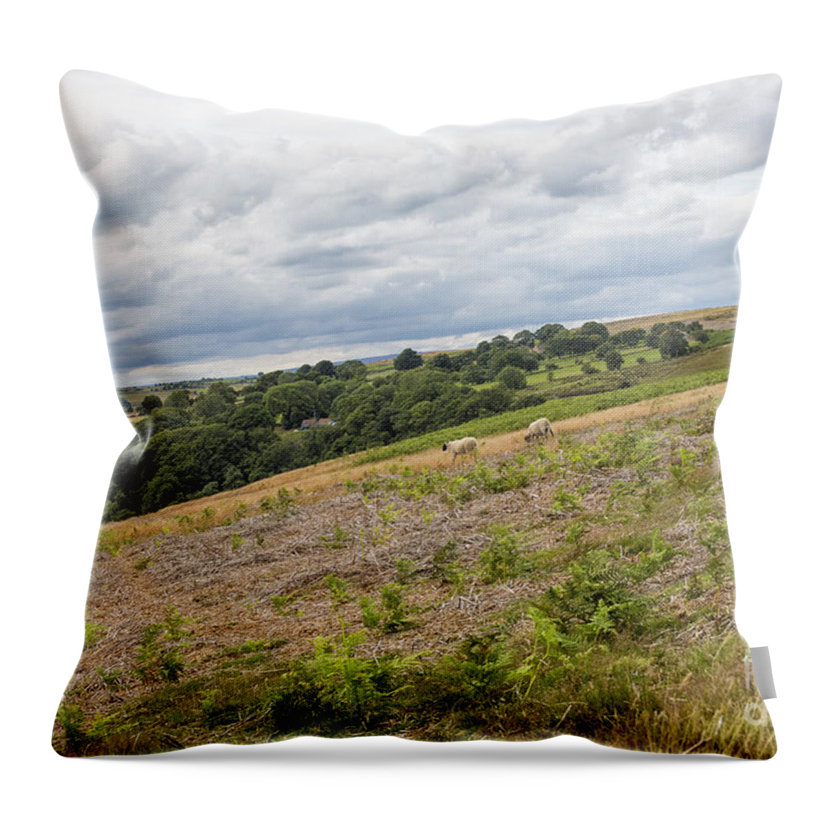 Park Throw Pillow featuring the photograph North Yorkshire Moors by Patricia Hofmeester